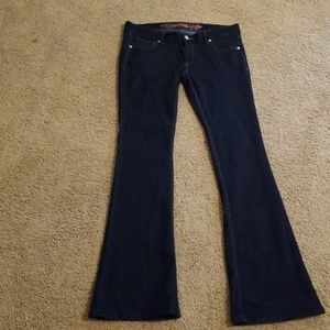 Express Stella slim flare